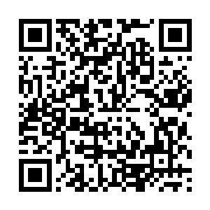 三族修士自然也不会傻得去截杀那些逃跑的海族修士二维码生成