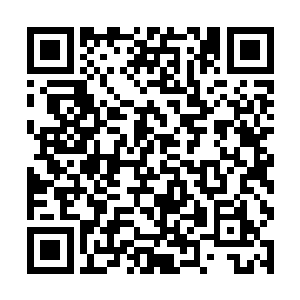 三次觉醒则可达到纯血青龙五分之四的纯血青龙强度二维码生成