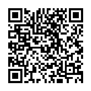 三界城不允许杀戮这是封王强者和主宰强者定下的规矩二维码生成