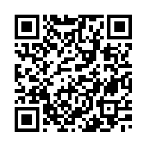 三百九十九号嘉宾叫价一百零二万二维码生成