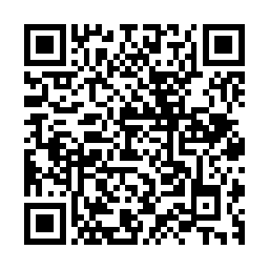 三百六十五个根芽便全都由不同的方向抵达了同一处天地空间二维码生成