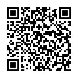 上一场秒杀冈萨雷斯的力量赛后各方面都在研究二维码生成