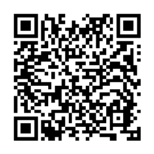 上一次大魔神打开的界壁已经通过了足够多的魔族二维码生成