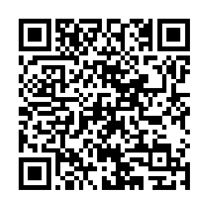 上一次李峰在森林中猎杀的那头沼泽巨鳄的魔核和尸体二维码生成