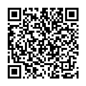 上一次的避难所筛选就让自己先前培植的大部分实力折损掉二维码生成