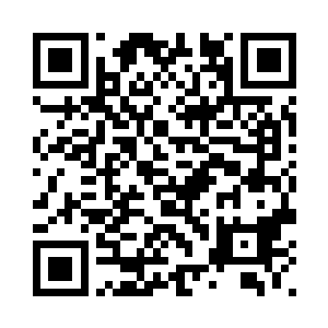 上一次的鉴定结果匹配度竟然高达99二维码生成