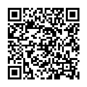 上万的天兵已经在天内与猴子之间堆砌起了厚厚的盾墙二维码生成