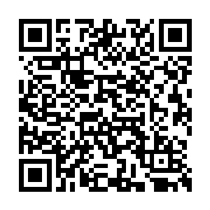 上下打量自己浑身装束的苗毅正儿八经乐开了花二维码生成