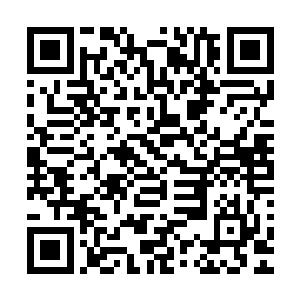 上个星期从赛场上回来以后他便全身心地投入到了韩服训练中二维码生成