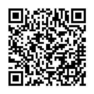 上个月林小乖投了一篇短篇的家庭伦理小说出去二维码生成
