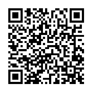 上了船能像你一样坚持下来的十个中有一个就不错了……二维码生成