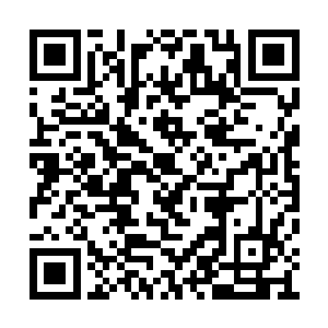 上千根触须在停滞过后继续向着玉成子挥打过去二维码生成
