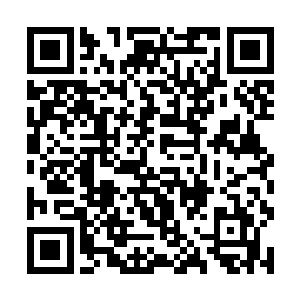 上半场拍卖二号嘉宾出其不意夺得了三十阶烈焰飞豹二维码生成