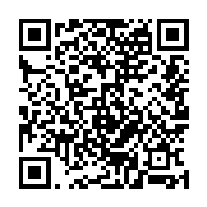 上单小星星首先ban掉了秒人能力非常出众的诡术妖姬乐芙兰二维码生成