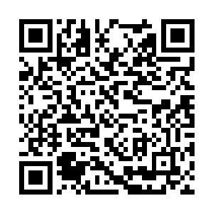 上回我跟方老师打算一起去新西兰自驾都没成行的二维码生成