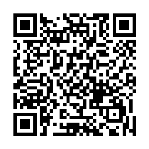 上官幕儿立即将自己在小岛上所采集的一切全部拿了出来二维码生成