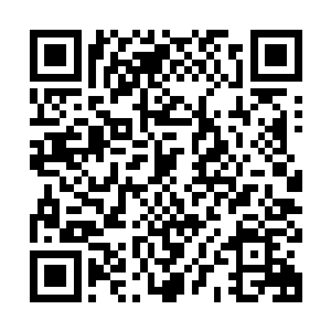 上山打虎反而落入虎口成为老虎的晚餐这种事情可是经常发生的二维码生成