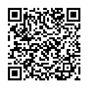 上帝之剑的其他成员看到剑主米利克冲进了树林之后二维码生成