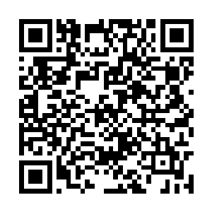 上杉铃音见到霍君白背后探出半张清丽绝俗的脸来二维码生成