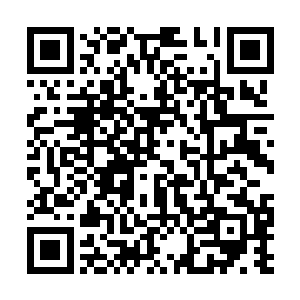 上次你不是跟大姐说过要去抓野鸡野兔去卖钱的吗二维码生成