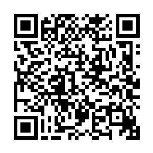 上次副本里斩风团的副团长牛顿是死在自己手里的……二维码生成