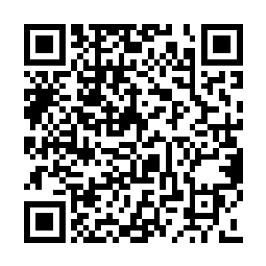 上次和小胖一起在大海的远处发现的那艘沉船呢二维码生成