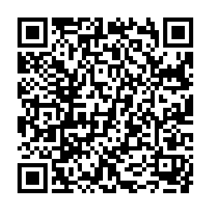 上次在你这儿喝的万春银叶还是陈茶……我刚才走过西跨院的小池榭二维码生成