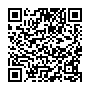上次在猎海城施展此神光破灭了阎纵的大衍杀戮剑意破绽二维码生成