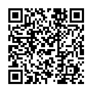 上次在铁达尼克公国首都托克依城做了塞内尔家族一票二维码生成