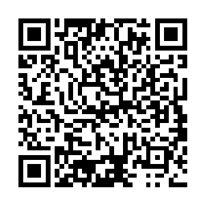 上次对方就说要去北方的天灾领地……现在去看看也好……二维码生成