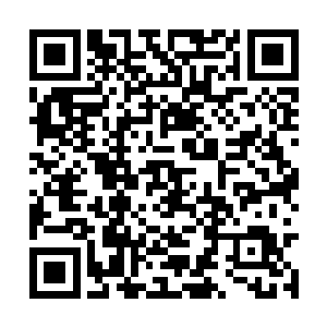 上次就是因为太虚宗没有天尊后期巅峰大修士坐镇二维码生成