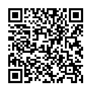 上次把七中牛哥他们两个揍得住了两个星期的医院二维码生成