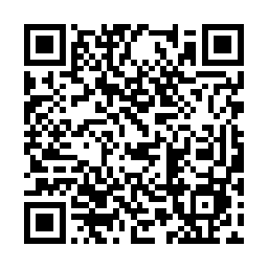 上次马文大人在猩红修道院里挑战星空剑圣的时候二维码生成