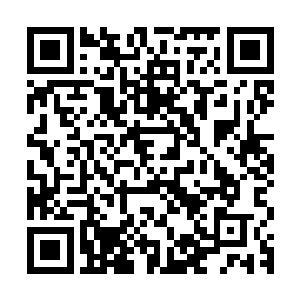 上百个法则之力破十万点的人和那么顶尖高手一起围攻他的时候二维码生成