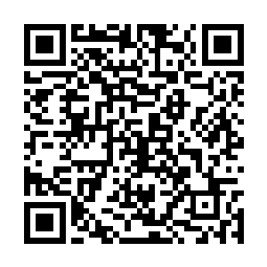 上百道身影正在不断的演练着各种各样的绝世武功二维码生成