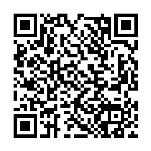 上面双方正要大战的两个势力也都是什么话都没说二维码生成