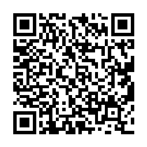 上面有着一些青色斑点的水晶龙特有的正圆形鳞片递了过来二维码生成