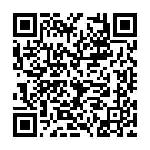 上面的字迹和林浩当初的那张字迹是出自同一个人二维码生成