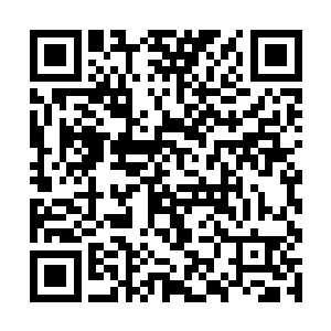 上面的战士甚至连海盗王本人都不知道去了上面地方二维码生成