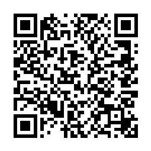 上面详细地写着三环高塔圣杯争夺战最终一战的具体细则二维码生成