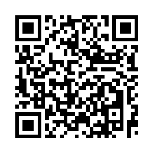 下一刻程家四长老发出凄惨的叫声二维码生成