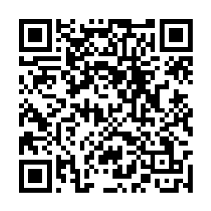 下一刻那巨臂怪物的目光也移到了楚旬等人的身上二维码生成