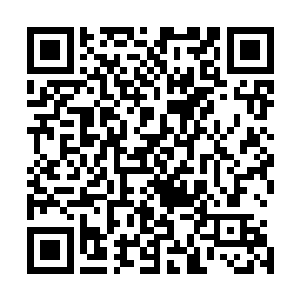 下一刻那速度极快的黑白光晕也已经荡过了在场一众圣天使二维码生成
