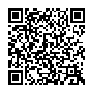 下一刻黑夜老祖已出现在黑暗死亡领域的另一头二维码生成