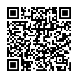 下一周华美集团几位重要的高层将最后一次考察南潭开发区二维码生成