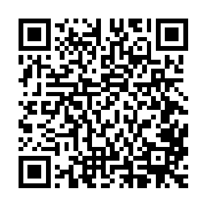 下一场戏便要拍摄护戒小队与骑着山地狼巡逻的奥克斯小队相遇二维码生成