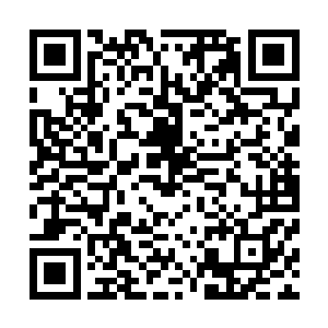 下一秒就看到小萝莉把藏在身后的小胖手伸到了朱平安跟前二维码生成
