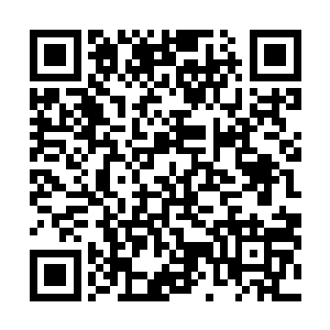 下了飞机就到了贝海自己的地盘这边自然也不需要人来接二维码生成