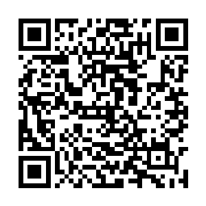 下午侯卫东抽空为祝梅买了一个能发短信的新手机二维码生成