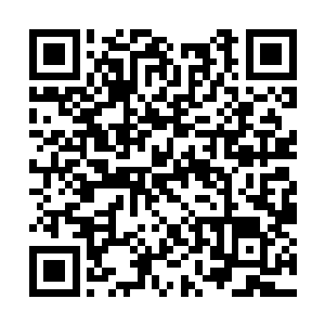 下半身却有着四条腿的四人小队停在了沙漠的边缘二维码生成